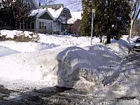 img 1324