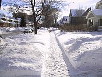 img 1325