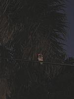 IMG 2553