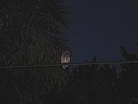 IMG 2555