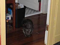 IMG 2610