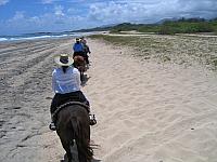 IMG 1590