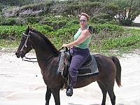 IMG 1592