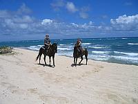 IMG 1593