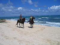 IMG 1594