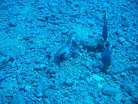 IMG 1626