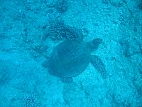 IMG 1641
