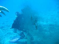IMG 1642