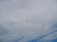 IMG 1664