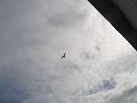 IMG 1665