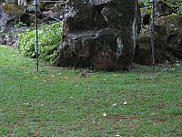 IMG 1669