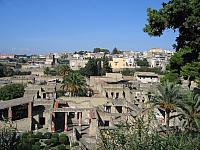IMG 0638