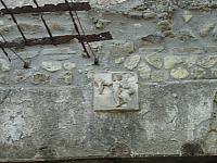 IMG 0648