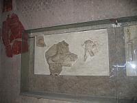 IMG 0672