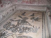 IMG 0680
