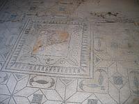 IMG 0692