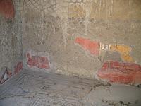IMG 0693