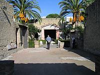 IMG 0706