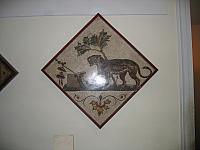 IMG 0462