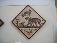 IMG 0463