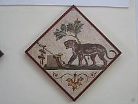 IMG 0467