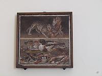 IMG 0483