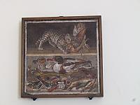 IMG 0484
