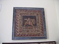 IMG 0485
