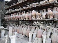 IMG 0557