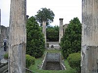 IMG 0566