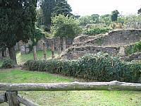 IMG 0590