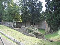 IMG 0591