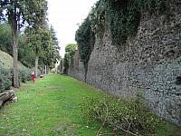 IMG 0592