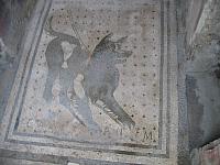 IMG 0604