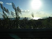 IMG 0500