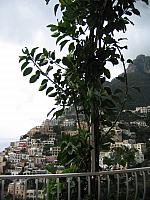 IMG 0522