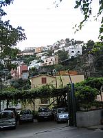 IMG 0530