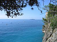 IMG 0537