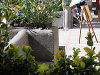 IMG 0538