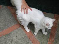 IMG 0542