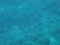 IMG 0722