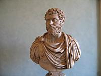 IMG 0750