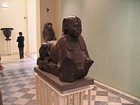 IMG 0754