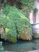 IMG 0837