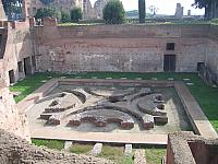 IMG 0844