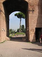 IMG 0845
