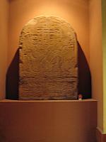 IMG 0861
