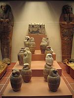 IMG 0865