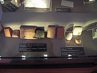 IMG 0881