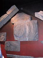 IMG 1656